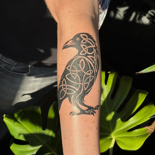 Medium Blackwork Celtic Crow Tattoo on Women Arm by @lollys.tattoos