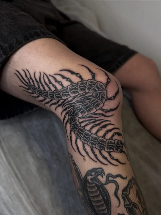 Medium Blackwork Centipede Tattoo on Women Knee by @six.gun.tattooer