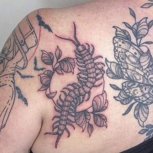 Medium Blackwork Centipede and Moon Tattoo on Women Shoulder by @shannan.tattoos