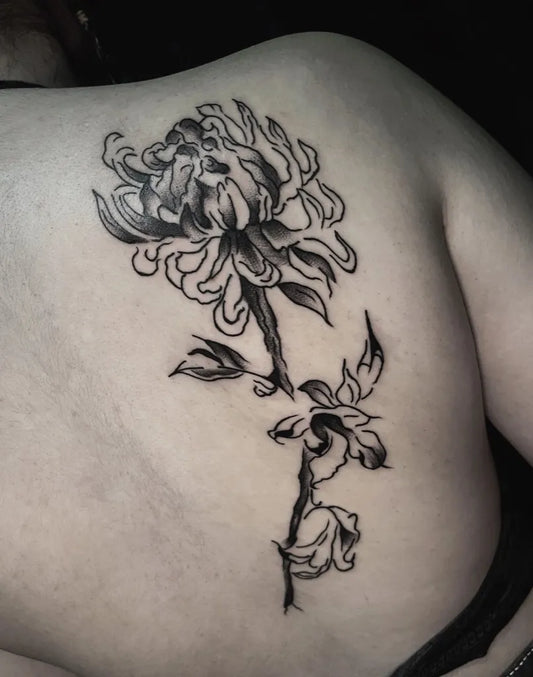 Medium Blackwork Chrysanthemum Black Tattoo on Women Back by @lahaine_tattoo