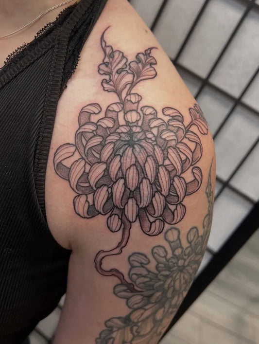 Medium Blackwork Chrysanthemum Tattoo on Women Shoulder by @daisythechainer