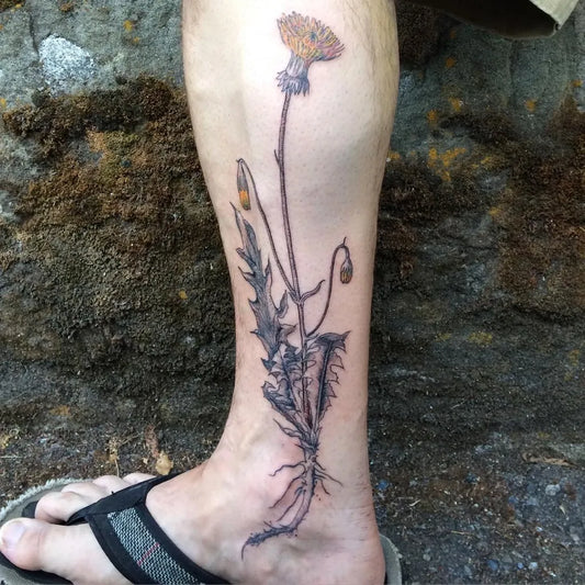 Medium Blackwork Dandelion and Seeds Tattoo on Men Leg by @nickholearcade