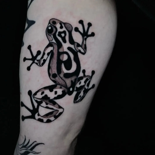 Medium Blackwork Frog Tattoo on Men Arm by @brunodamata.tattoo