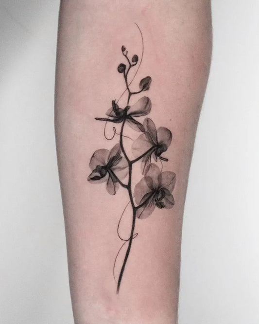 Medium Blackwork Orchid Flowers Tattoo on Women Arm by @ejintatt