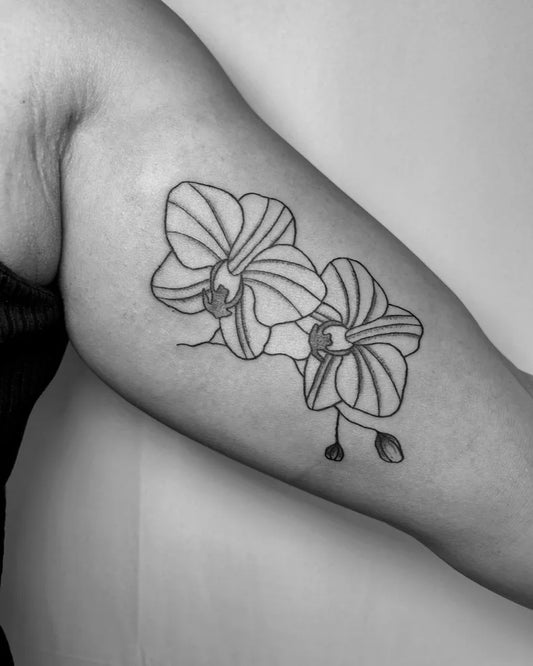 Medium Blackwork Orchids Tattoo on Women Inner Arm by @laurinfeldertattoo