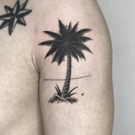 Medium Blackwork Palm Tree Tattoo on Men Shoulder by @seoneul_tattoo