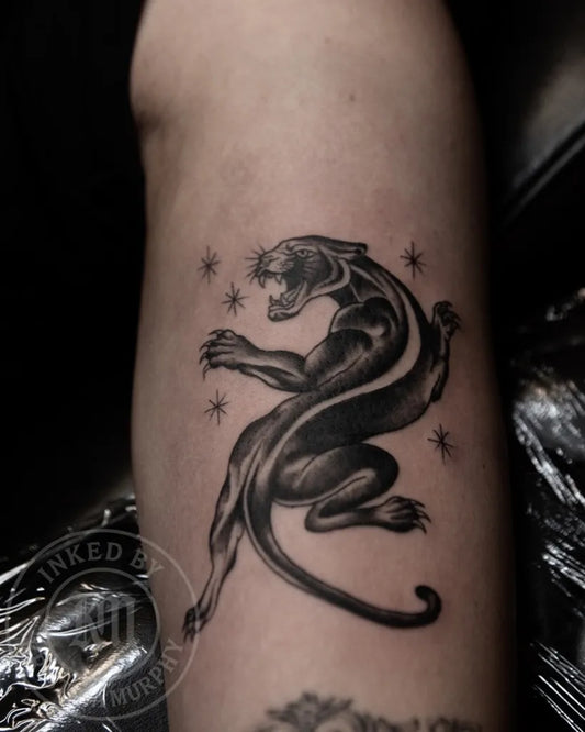 Medium Blackwork Panther with Stars Tattoo on Men Arm by @inkedbykristinamurphy