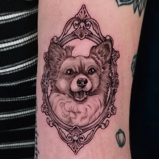 Medium Blackwork Portrait Frame Chihuahua Tattoo on Women Arm by @cupcakethecreator