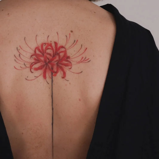 Medium Blackwork Red Spider Lily Tattoo on Women Back by @xingalmond
