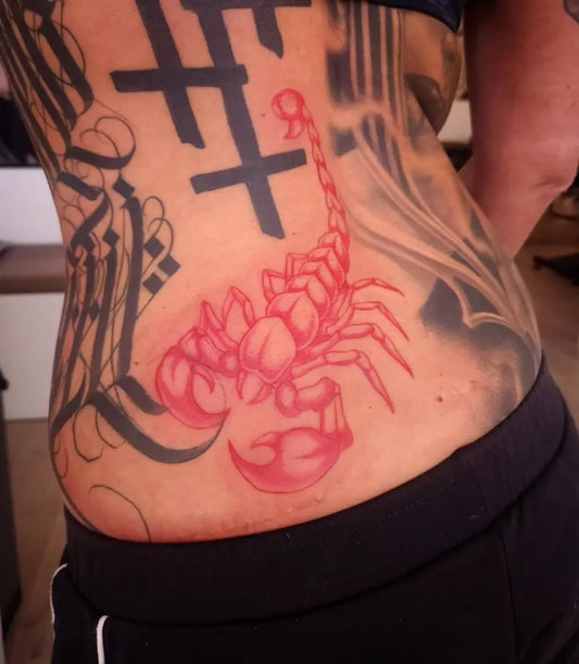Medium Blackwork Scorpion Cross Script on Women Back Tattoo by @clunks_chaos