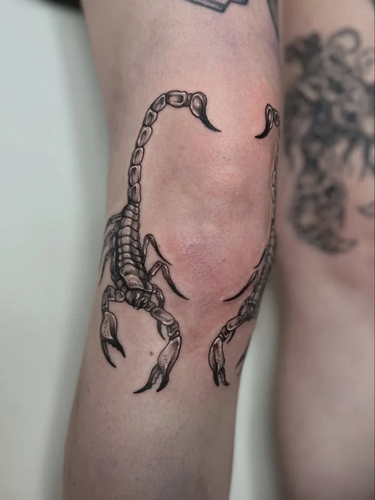 Medium Blackwork Scorpion on Women Knee Tattoo by @frankieprice.tattoo
