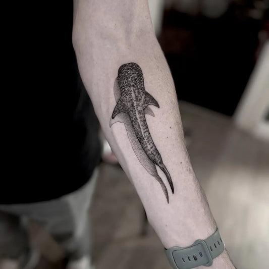 Medium Blackwork Shark on Men Arm Tattoo by @iamcharlottelee