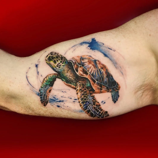 Medium Color Realism Turtle Tattoo on Men Arm by @dragoncityink.danang