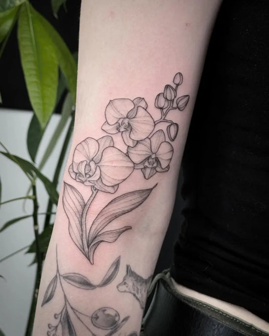 Medium Fine Line Orchid and Leaves Tattoo on Women Arm by @natts_tatts