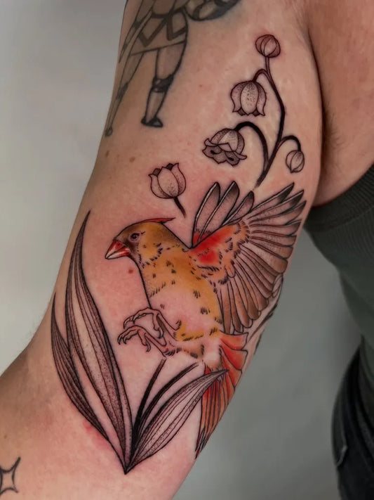 Medium Illustrative Cardinal and Lily of the Valley Tattoo on Women Arm by @koreanhammer