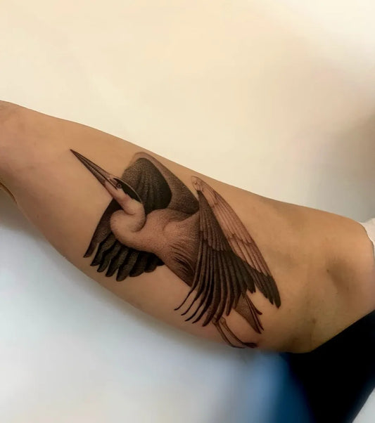 Medium Illustrative Heron Tattoo on Women Arm by @juliannamenna