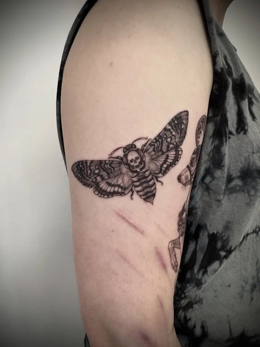 Medium Illustrative Moth Tattoo on Men Arm by @eddylou