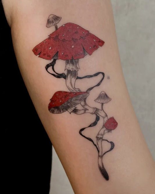 Medium Illustrative Mushrooms on Women Arm Tattoo by @littlefrankiestattoo