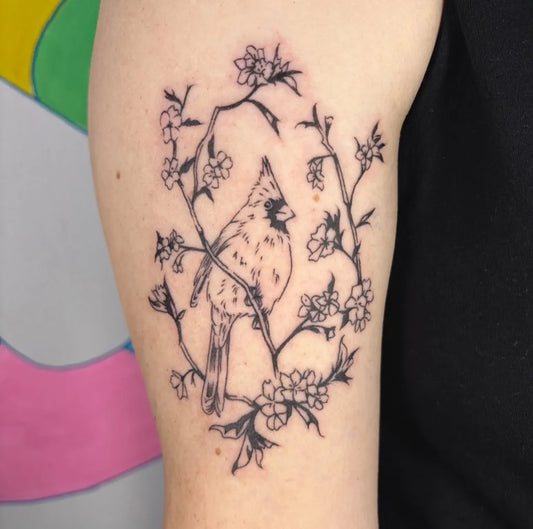 Medium Linework Cardinal and Cherry Blossoms Tattoo on Women Upper Arm by @ghostkartattoo