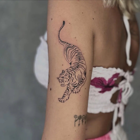 Medium Linework Tiger on Women Arm Tattoo by @noxs_tatt