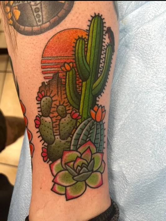 Medium Neo Traditional Cactus Sunset Succulent Tattoo on Men Leg by @noregretsmemphis