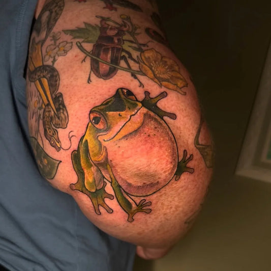 Medium Neo Traditional Frog Snake Beetle Tattoo on Men Arm by @alekivz