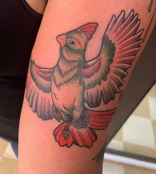 Medium New School Cardinal Bird Tattoo on Women Arm by @holycitytattooingcollective