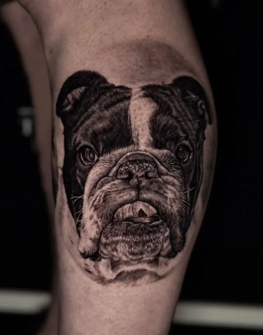 Medium Realism Bulldog Tattoo on Men Thigh by @roly.leyva_tattoo