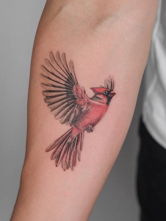 Medium Realism Cardinal Bird Tattoo on Men Arm by @kaplan.tattooing