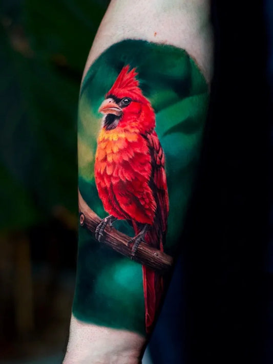 Medium Realism Cardinal Bird Tattoo on Men Arm by @leilanitattoos