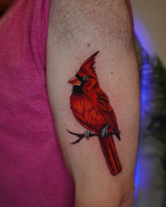 Medium Realism Cardinal Bird Tattoo on Men Arm by @owl_be_drawing