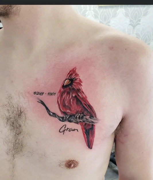 Medium Realism Cardinal Bird Tattoo on Men Chest by @ianditattoo