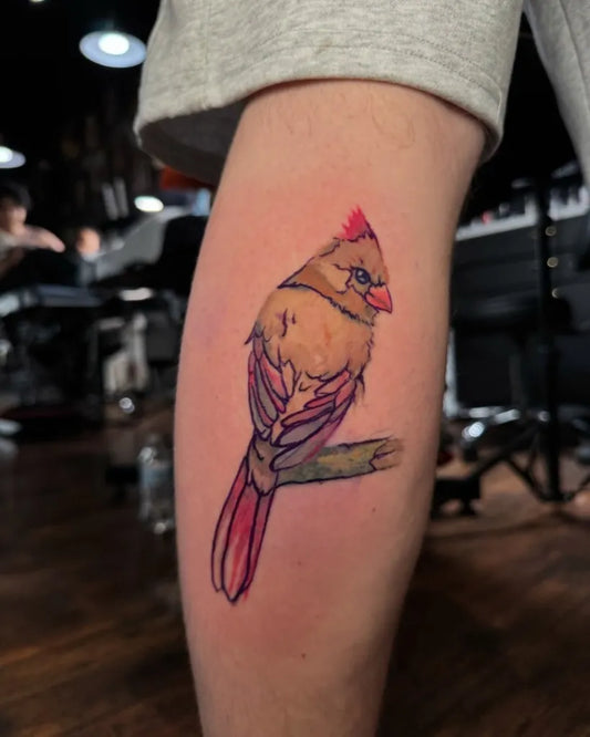 Medium Realism Cardinal Bird Tattoo on Men Leg by @riotinkohio