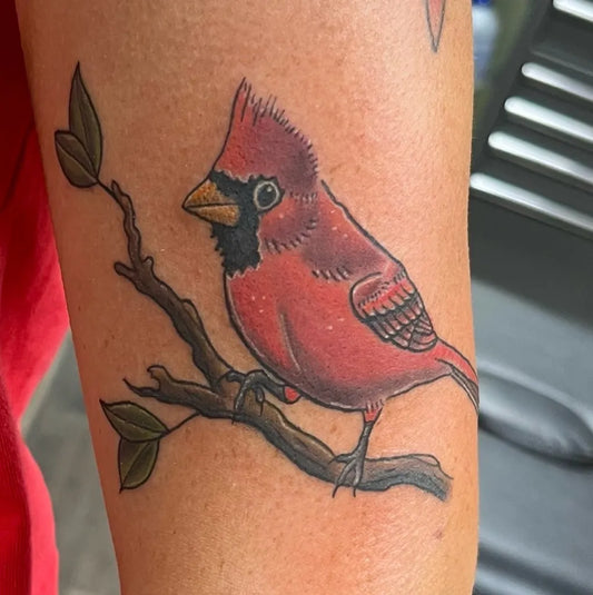 Medium Realism Cardinal Bird Tattoo on Women Arm by @acworthtattoo