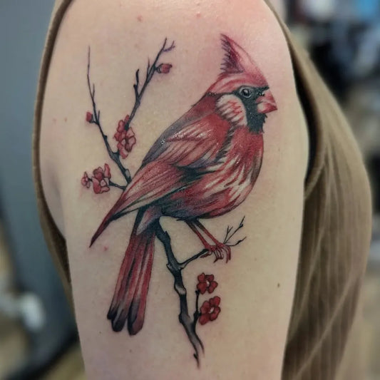 Medium Realism Cardinal and Cherry Blossoms Tattoo on Women Upper Arm by @casey_tuttle.art
