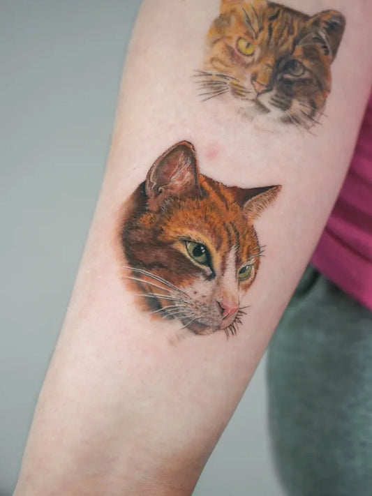 Medium Realism Cat Tattoo on Women Arm by @falcontattooist