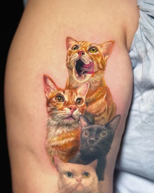 Medium Realism Cats Tattoo on Women Arm by @muimo_ozonetattoo