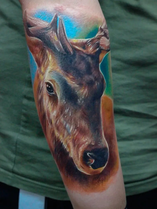 Medium Realism Deer Head Tattoo on Men Arm by @shturmtattoostudio