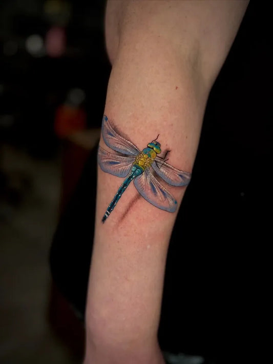 Medium Realism Dragonfly on Women Arm Tattoo by @alimaytex