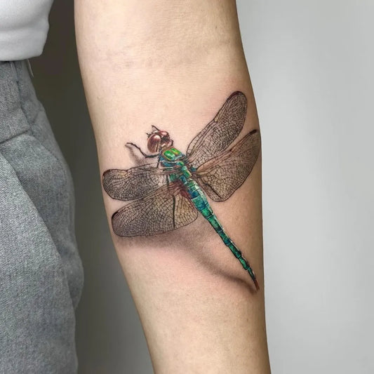 Medium Realism Dragonfly on Women Arm Tattoo by @helenaferrontattoo
