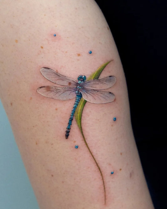 Medium Realism Dragonfly with Grass on Women Arm Tattoo by @suya_ink
