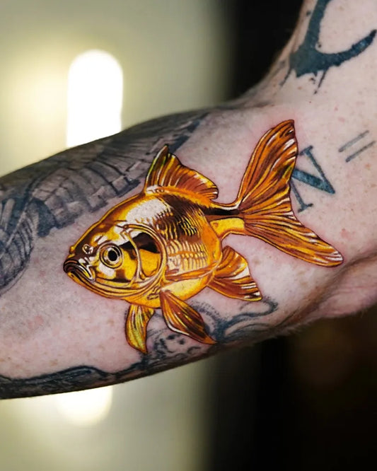Medium Realism Goldfish Tattoo on Men Arm by @ponylawson