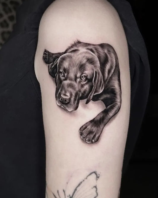 Medium Realism Labrador Head and Paw Tattoo on Women Shoulder by @inferno_tattoo_crew