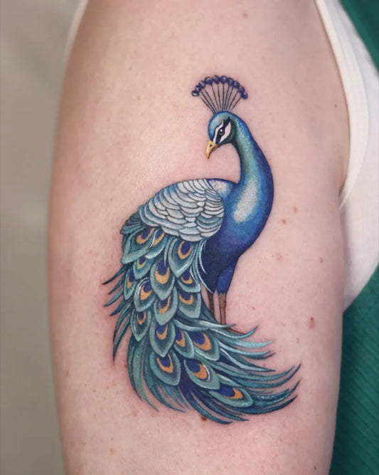 Medium Realism Peacock Tattoo on Women Arm by @dani.dani_tt