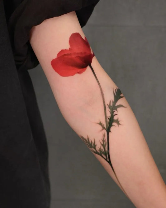Medium Realism Poppy and Thistle Tattoo on Women Arm by @chenjie.newtattoo