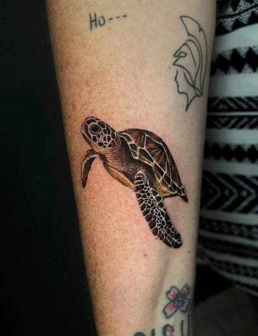 Medium Realism Sea Turtle Tattoo on Women Arm by @lionel.koolman