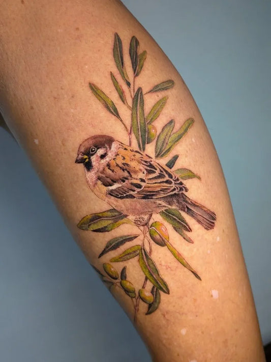 Medium Realism Sparrow Olive Branch Tattoo on Women Leg by @_liatattoo