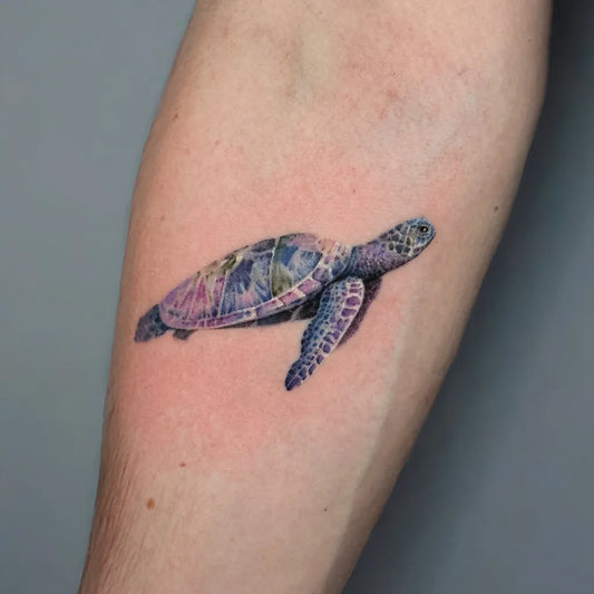 Medium Realism Turtle Tattoo on Women Arm by @hangangtattoo