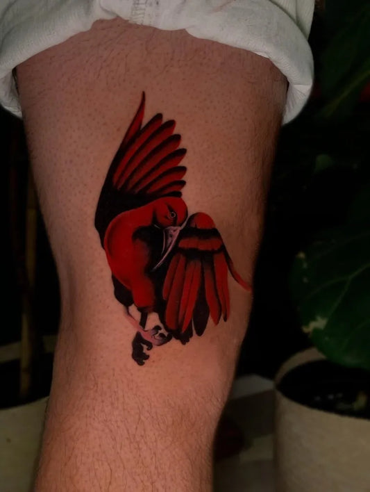 Medium Red Flying Red Bird Tattoo on Men Thigh by @marigoldtattoos
