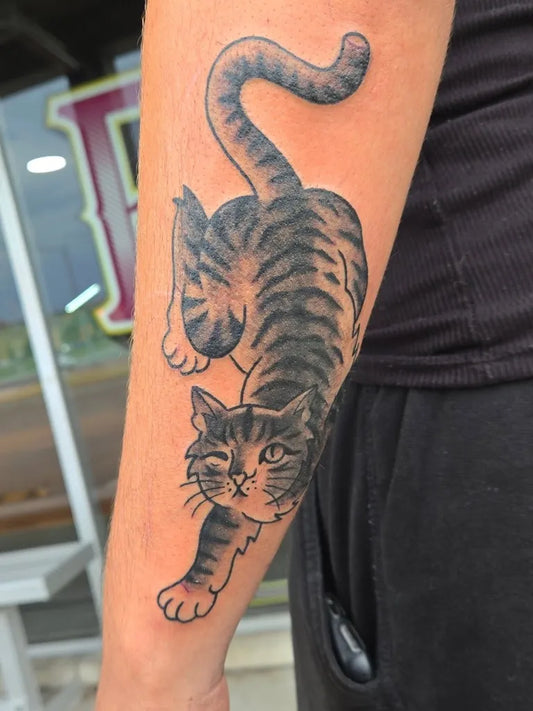 Medium Traditional Cat Tattoo on Men Arm by @loosecannonrhyannan